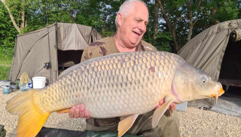 A carp from Jonchery, May 2024