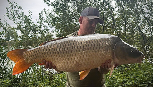 A carp from Jonchery, Aug 2025