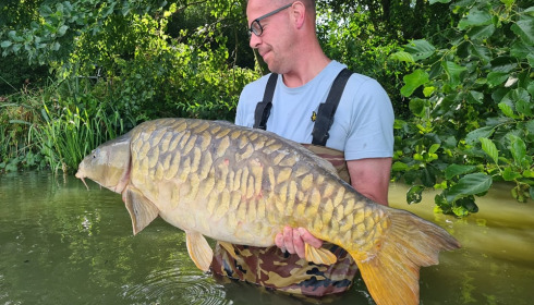 A carp from Jonchery, Jul 2024