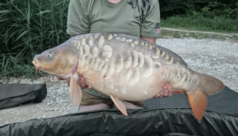 A carp from Jonchery, Jul 2025