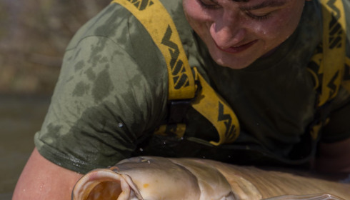 A carp from Jonchery, Mar 2024
