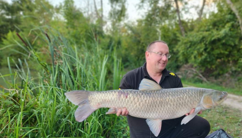 A 35 lb 10 oz fish from Jonchery, Grass carp, Sep 2024