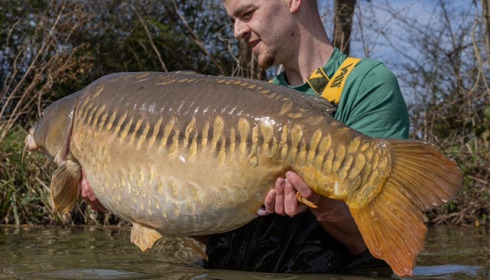A carp from Jonchery, Mar 2024