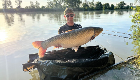 A carp from Jonchery, Jun 2025