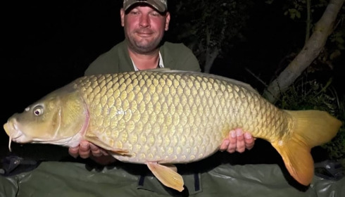 A carp from Jonchery, Oct 2023