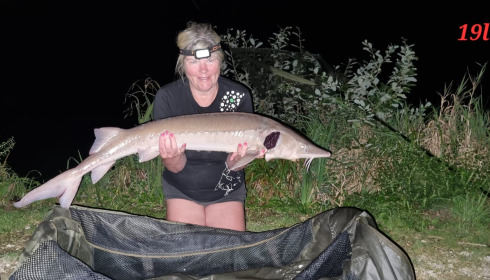 A fish from Jonchery, Sturgeon, Sep 2023