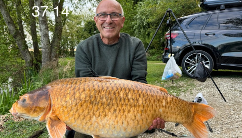 A carp from Jonchery, May 2025