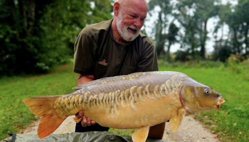A carp from Jonchery, Sep 2025