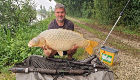 A carp from Jonchery, Aug 2025