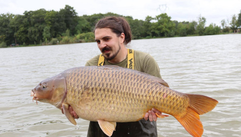 A carp from Jonchery, Sep 2025