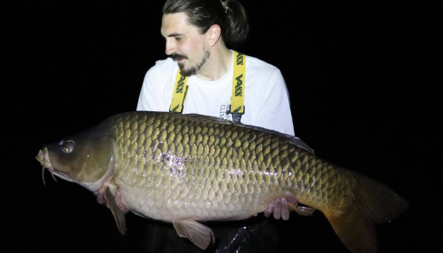 A carp from Jonchery, Sep 2025