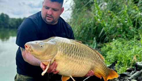 A carp from Jonchery, Aug 2024