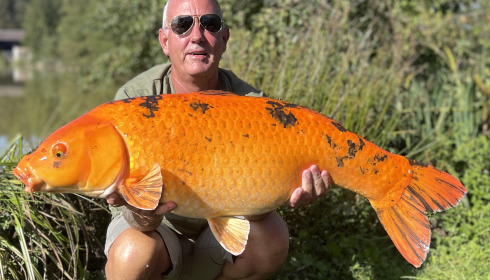 A 24 lb 12 oz fish from Jonchery, Koi, Sep 2023