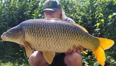 A carp from Jonchery, Jun 2024