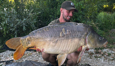 A carp from Jonchery, Jul 2025