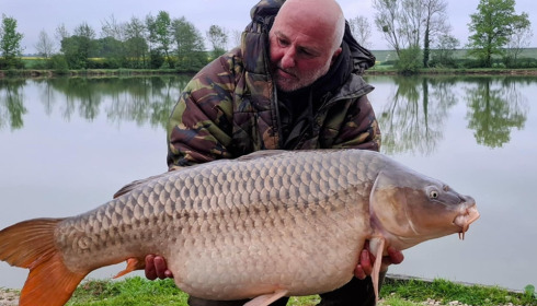 A carp from Jonchery, May 2025