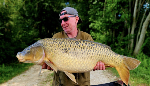 A carp from Jonchery, Aug 2025