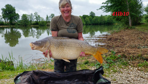 A 41 lb 10 oz fish from Jonchery, Common, May 2025