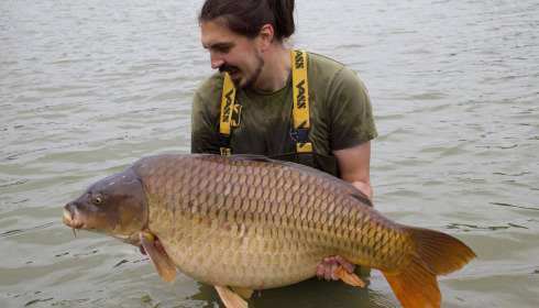 A carp from Jonchery, Sep 2025