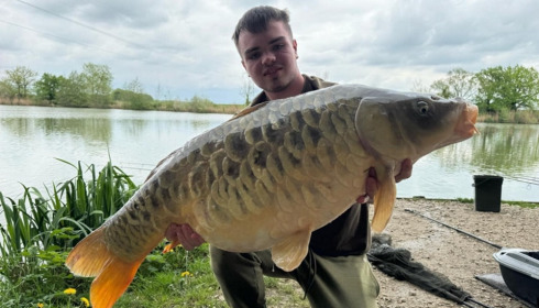 A carp from Jonchery, May 2025