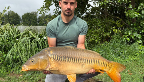 A carp from Jonchery, Jul 2025