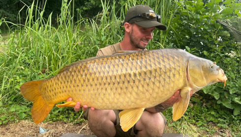 A carp from Jonchery, Jul 2025