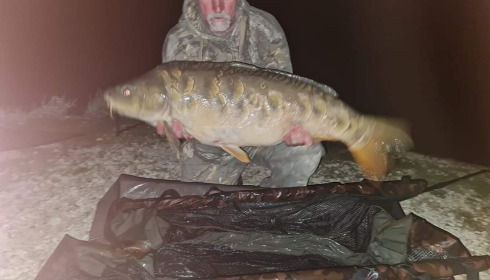 A carp from Jonchery, May 2024