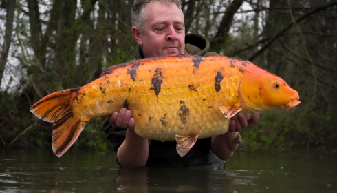 A carp from Jonchery, Mar 2024