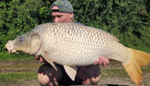 A carp from Jonchery, Jun 2024