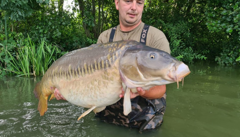 A carp from Jonchery, Jul 2024