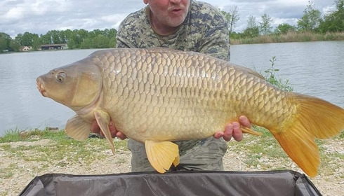 A carp from Jonchery, May 2024