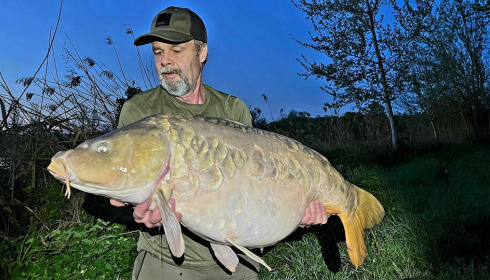 A carp from Jonchery, Apr 2024