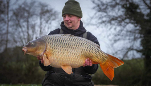 A carp from Jonchery, Feb 2024