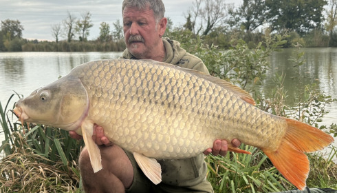 A 35 lb 9 oz fish from Jonchery, Common, Oct 2024
