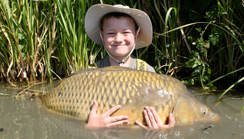 A carp from Jonchery, Aug 2025