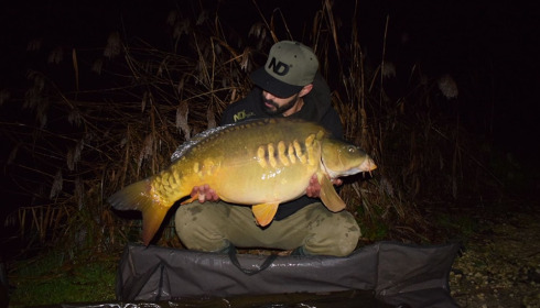 A carp from Jonchery, Jan 2025