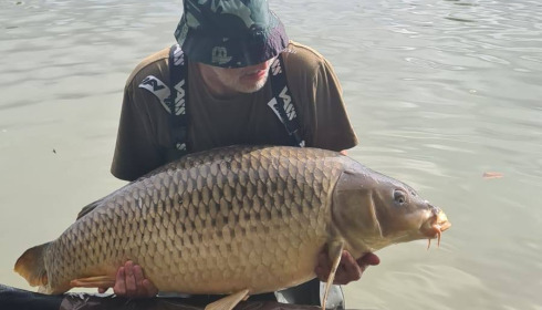 A carp from Jonchery, Sep 2025