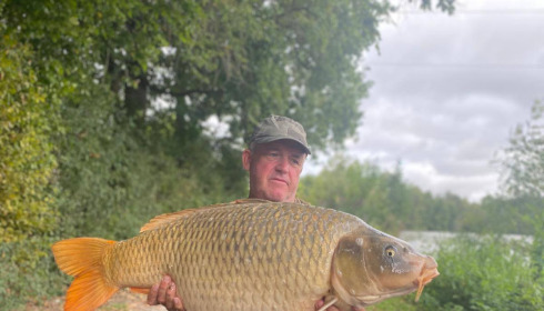 A carp from Jonchery, Sep 2025