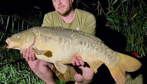 A carp from Jonchery, Oct 2023