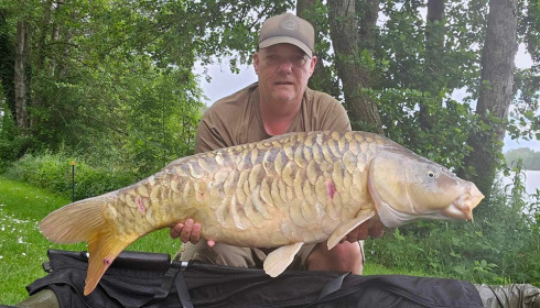 A carp from Jonchery, May 2024