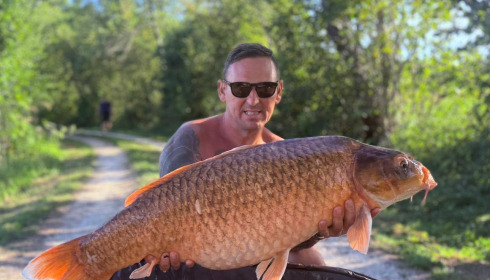 A carp from Jonchery, Aug 2025