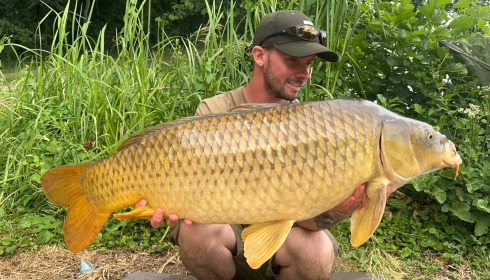 A carp from Jonchery, Jul 2025