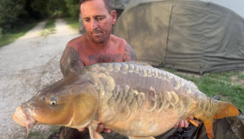 A carp from Jonchery, Aug 2025