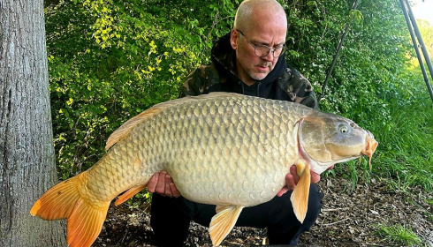 A carp from Jonchery, Apr 2024