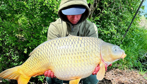A carp from Jonchery, Apr 2024