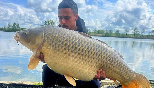 A carp from Jonchery, Apr 2024