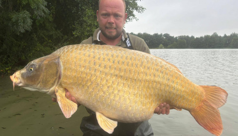 A carp from Jonchery, Jul 2025