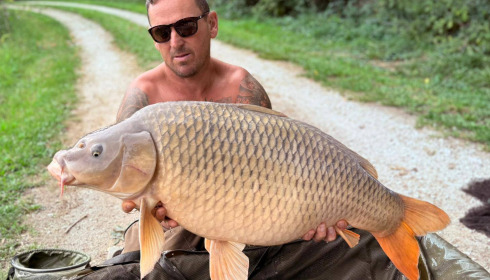 A carp from Jonchery, Aug 2025