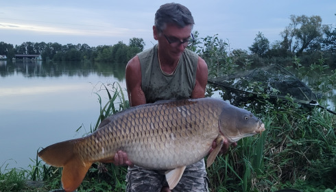 A fish from Jonchery, PB Common, Sep 2023