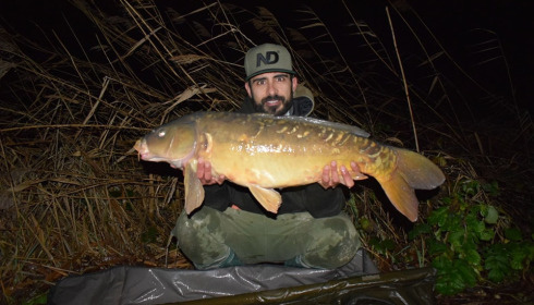 A carp from Jonchery, Jan 2025